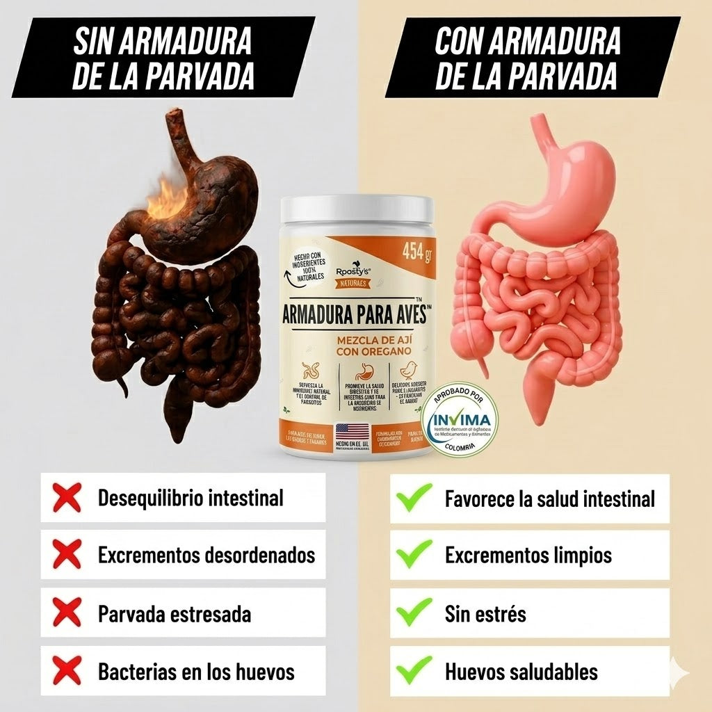 Encabezado