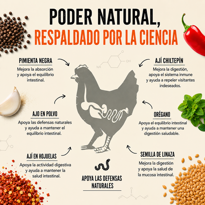 Armadura para Aves®  — Gallinas más sanas y más huevos en 30 días - Incluye GUÍA GRATIS + Envío Gratis