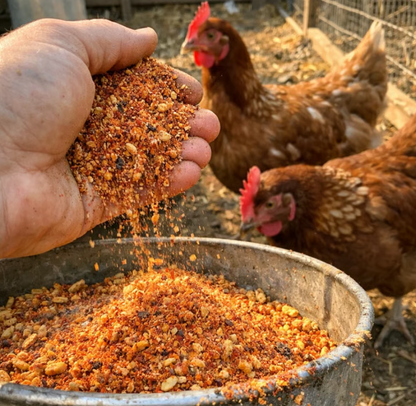 Armadura para Aves®  — Gallinas más sanas y más huevos en 30 días - Incluye GUÍA GRATIS + Envío Gratis