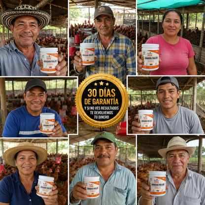 Armadura para Aves®  — Gallinas más sanas y más huevos en 30 días - Incluye GUÍA GRATIS + Envío Gratis