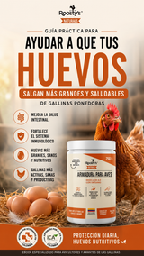 Gu&iacute;a pr&aacute;ctica