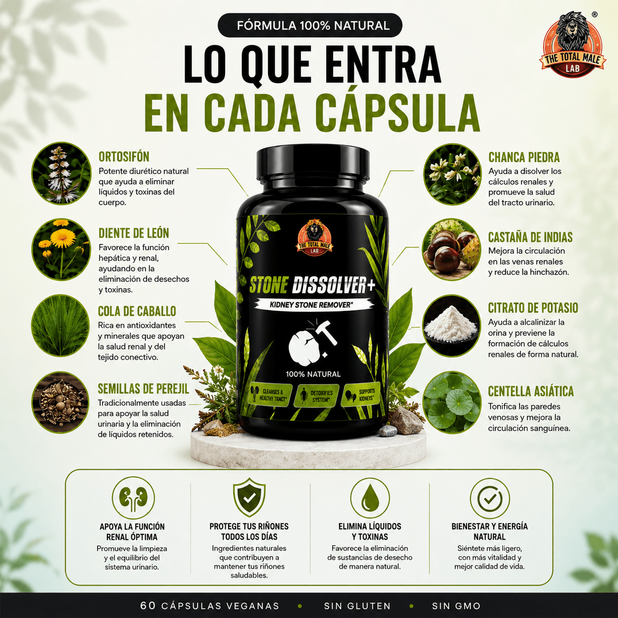 STONE DISSOLVER™  - Fórmula botánica avanzada con hierba Chancapiedra