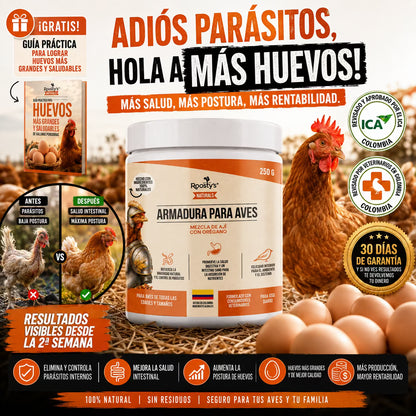 Armadura para Aves®  — Gallinas más sanas y más huevos en 30 días - Incluye GUÍA GRATIS + Envío Gratis
